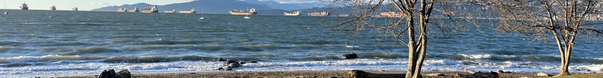 People Watching at Kitslano Beach